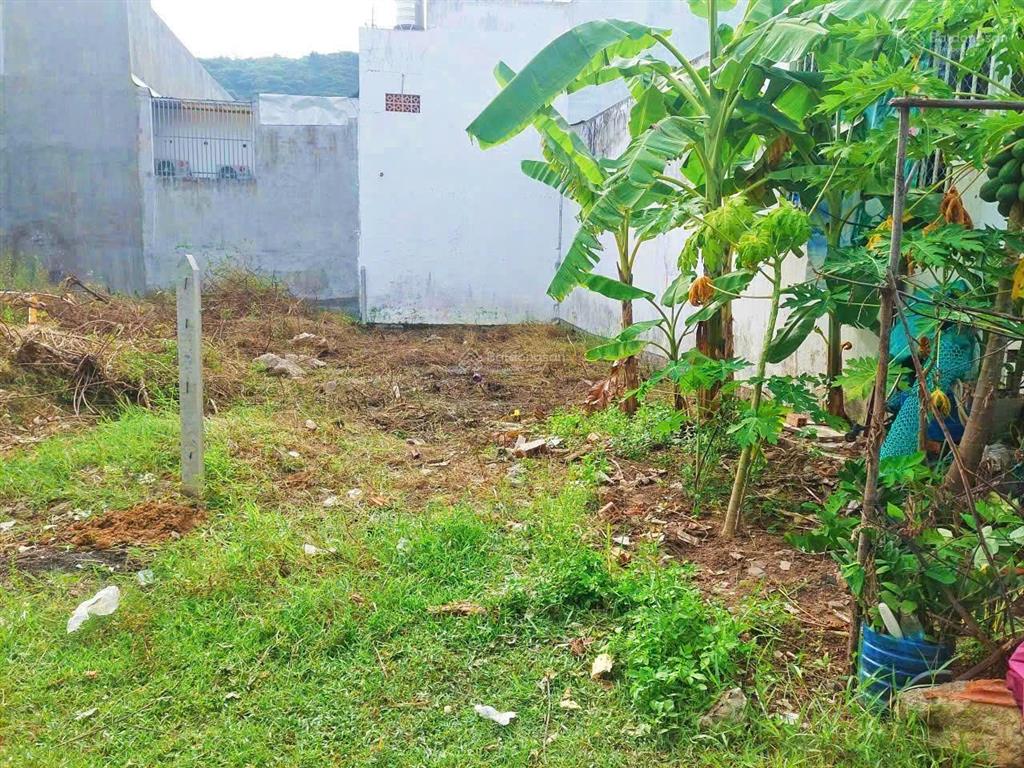 Đất mặt tiền số 5 đường hòn thơm   rộng gần 6m {gần các trường đại học & cao đẳng} giá 1,55 tỷ