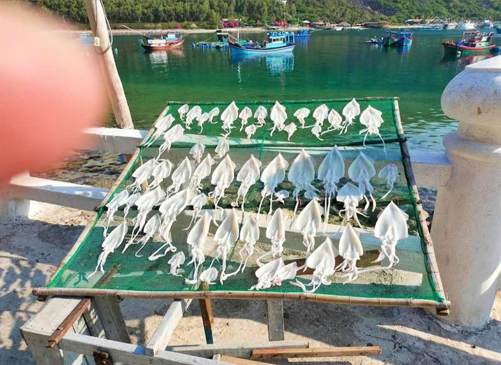 Mặt biển đảo bích đầm nha trang  nằm trong khu dân cư. giá 2,5 tỷ