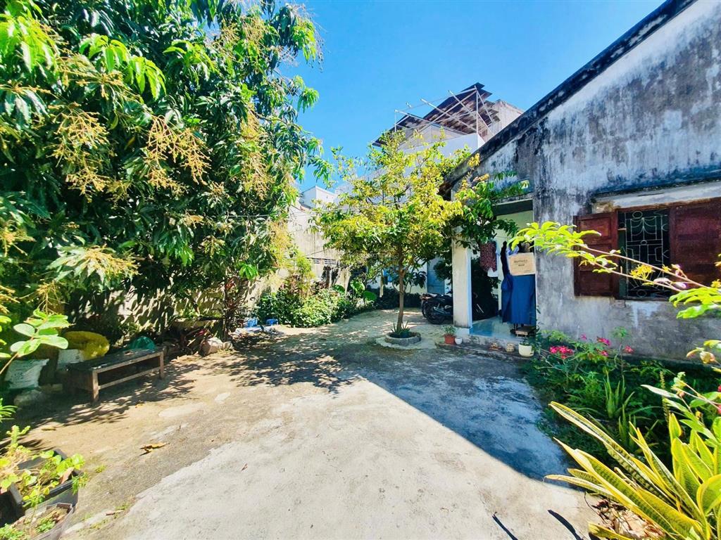 Nhà vườn  hẻm cao văn bé thông qua đoàn trần nghiệp, cách biển hòn chồng 500m. giá 11 tỷ