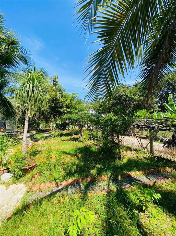 Nhà vườn bao chill, tại đắc lộc vĩnh phương (cách cổng chào 350m) giá 5 tỷ