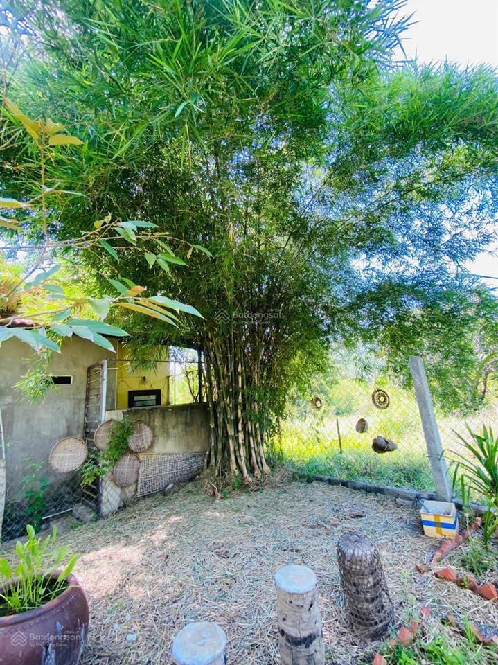 Nhà vườn bao chill, tại đắc lộc vĩnh phương (cách cổng chào 350m) giá 5 tỷ