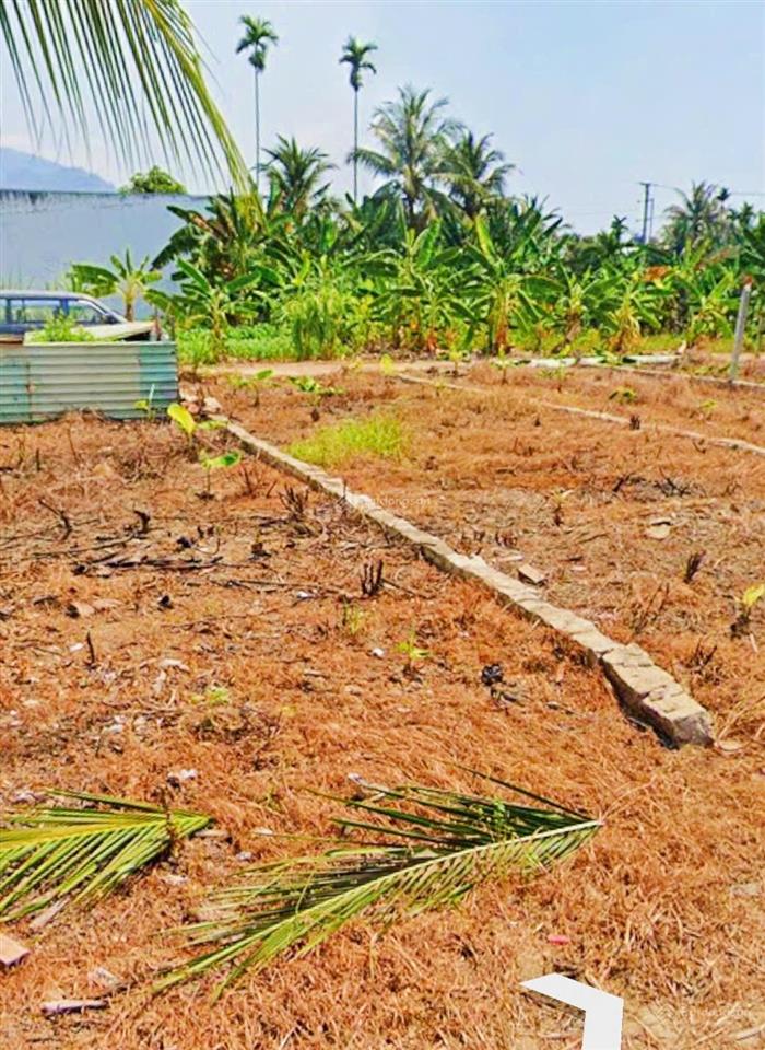[ đất phú ân nam, diên an, view cánh đồng  sát đường thông tin ] * giá 1,950 tỷ