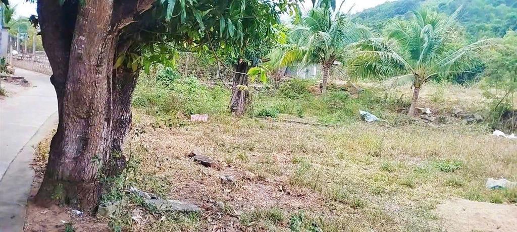 Đất vườn 3 mặt thoáng vĩnh phương, khá gần vành đai 3 phù hợp quy hoạch 236m² đất ở giá 1,550 tỷ