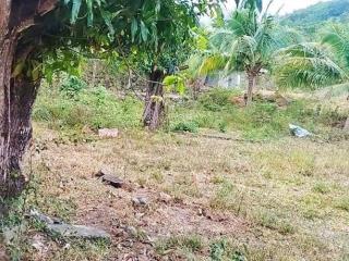 Đất vườn 3 mặt thoáng vĩnh phương, khá gần vành đai 3 phù hợp quy hoạch 236m² đất ở giá 1,550 tỷ