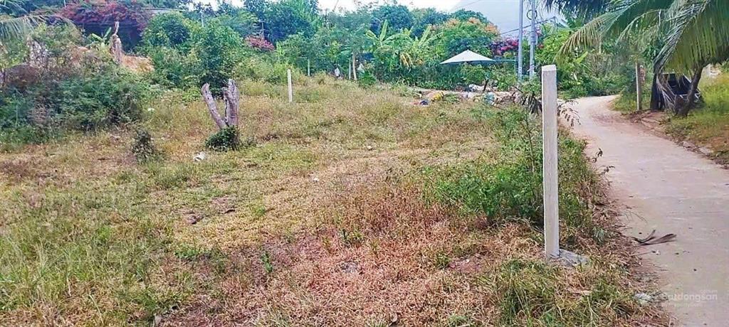 Đất vườn 3 mặt thoáng vĩnh phương, khá gần vành đai 3 phù hợp quy hoạch 236m² đất ở giá 1,550 tỷ