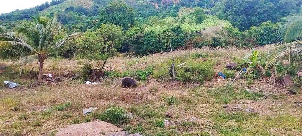Đất vườn 3 mặt thoáng vĩnh phương, khá gần vành đai 3 phù hợp quy hoạch 236m² đất ở giá 1,550 tỷ