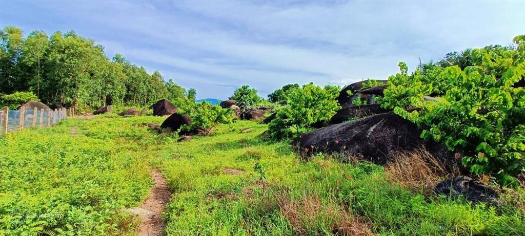2ha đất view biển vân phong tuyệt đỉnh  3,68 tỷ (sát khu đô thị sungroup)