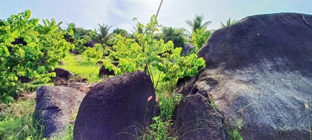 2ha đất view biển vân phong tuyệt đỉnh  3,68 tỷ (sát khu đô thị sungroup)