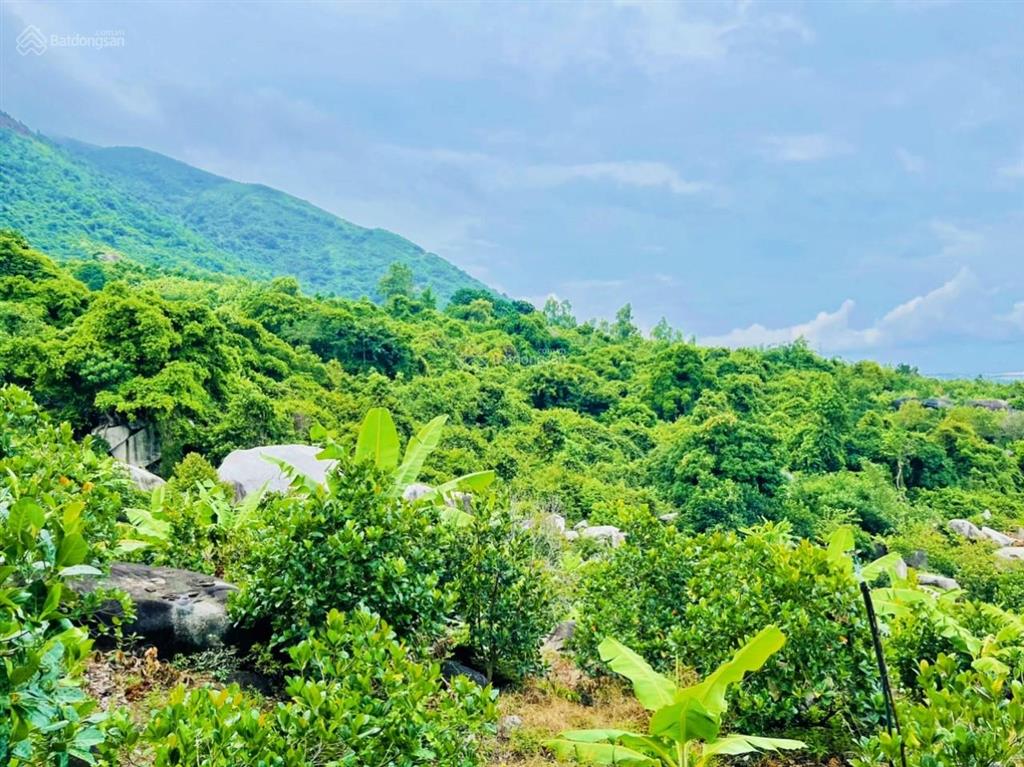 2ha đất view biển vân phong tuyệt đỉnh  3,68 tỷ (sát khu đô thị sungroup)
