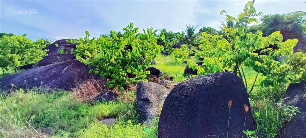 2ha đất view biển vân phong tuyệt đỉnh  3,68 tỷ (sát khu đô thị sungroup)