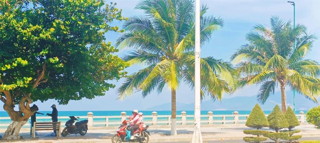 Đất mặt tiền đường củ chi  17 tỷ (cách biển hòn chồng 700m)
