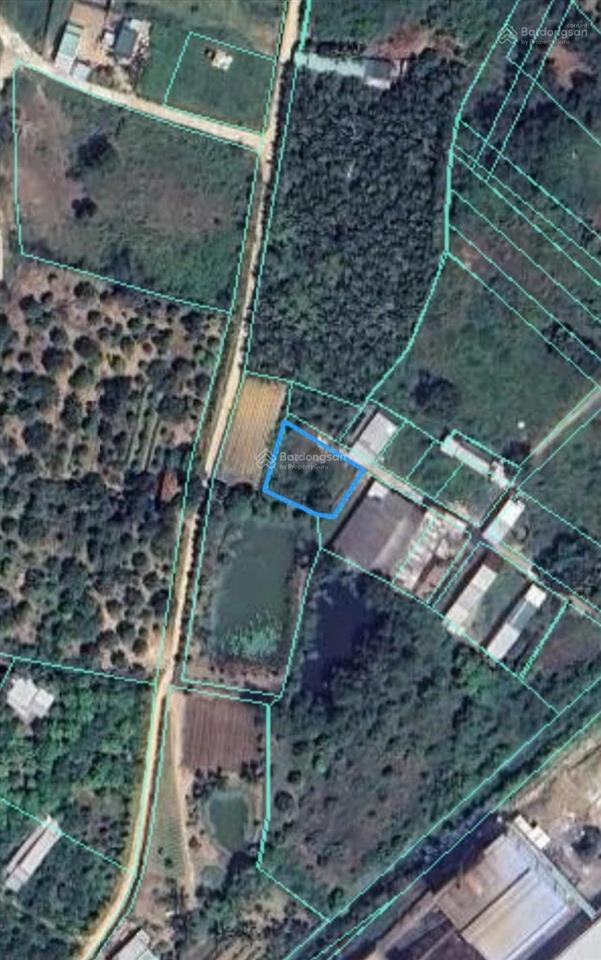 Đất vườn sau lưng cụm công nghiệp đắc lộc  ngang 22m. phù hợp quy hoạch đất ở. giá 2,4 tỷ