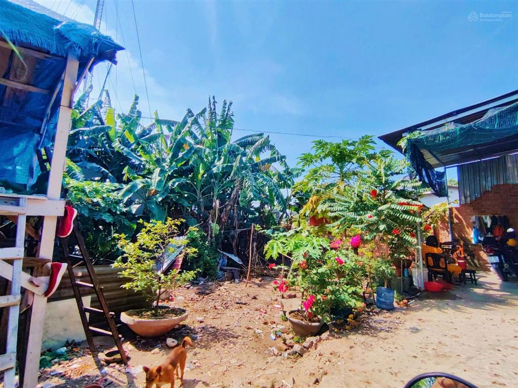 Đất vườn diên điền phù hợp đất ở  cách đường hà huy tập tầm 100m. giá 1,020 tỷ