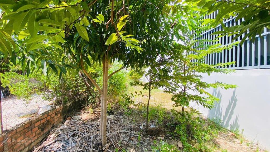 Mặt tiền phú xương đường ô tô  ngang lô đất dài 5,2m, cách biển hòn chồng 2km. giá 4,250 tỷ