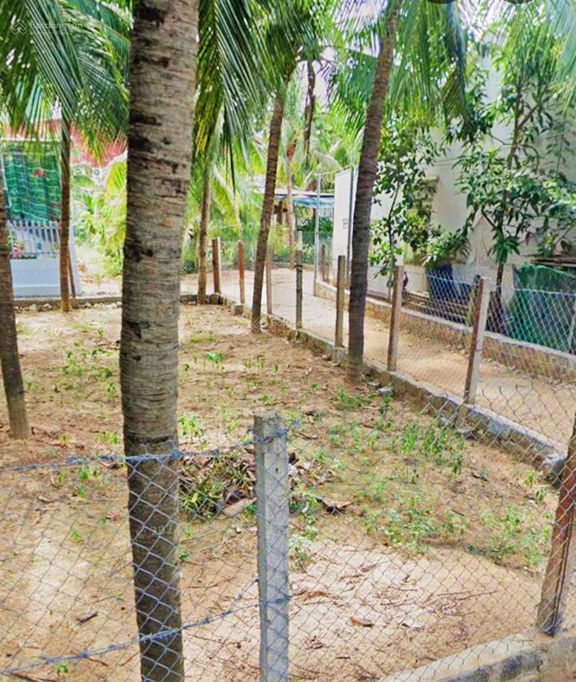 Góc 3 mặt thoáng đắc lộc vĩnh phương  sát công ty yến sào + dt rong nho. giá 1,290 tỷ