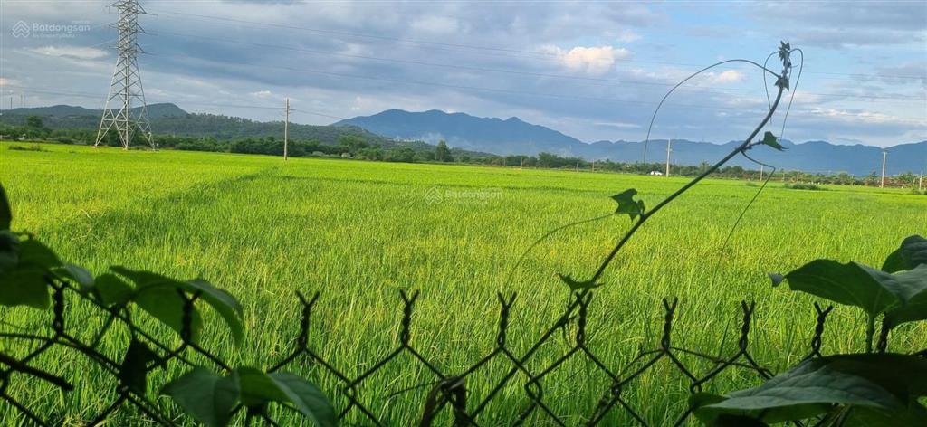 Nhà vườn khu dân cư phú hữu, ninh ích  view cánh đồng cực chill. giá 1,250 tỷ
