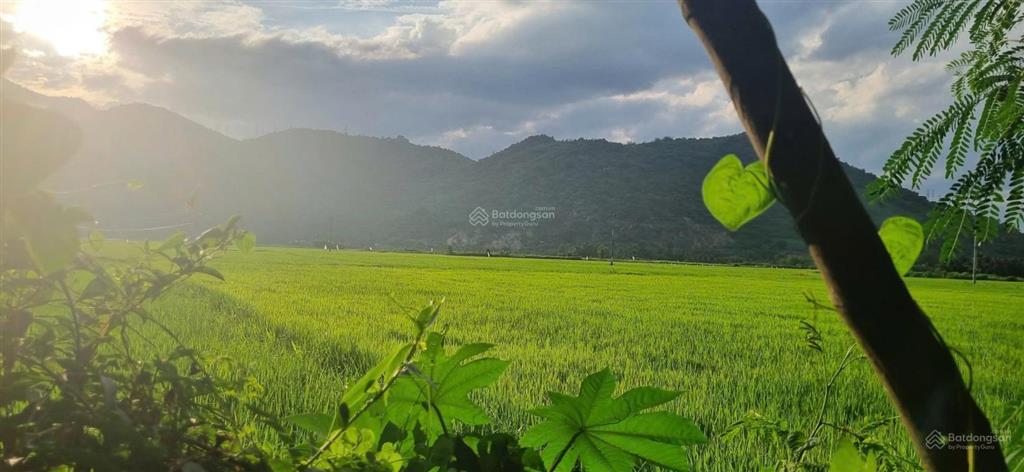 Nhà vườn khu dân cư phú hữu, ninh ích  view cánh đồng cực chill. giá 1,250 tỷ