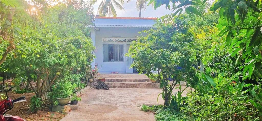Nhà vườn khu dân cư phú hữu, ninh ích  view cánh đồng cực chill. giá 1,250 tỷ
