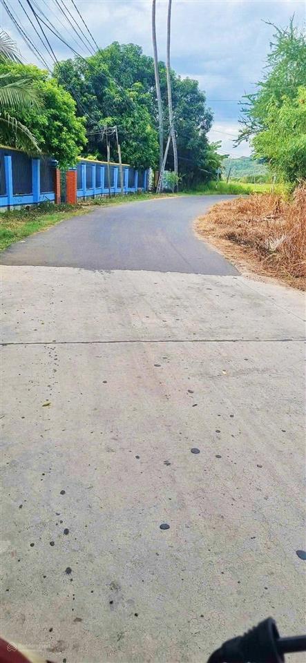 Nhà vườn khu dân cư phú hữu, ninh ích  view cánh đồng cực chill. giá 1,250 tỷ
