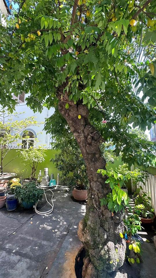 Nhà vườn hoàn kiếm giáp cửu long  ngang dài 11m (phù hợp làm căn hộ) giá 22,5 tỷ