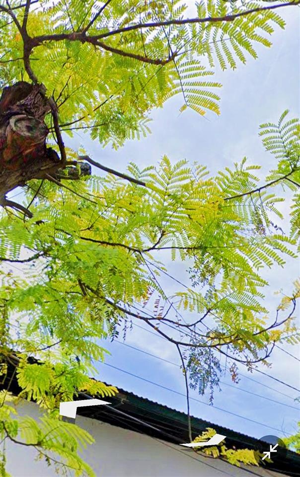 Nhà mặt tiền nguyễn trác, ngang 5m * cách biển hòn chồng 700m giá 7,850 tỷ