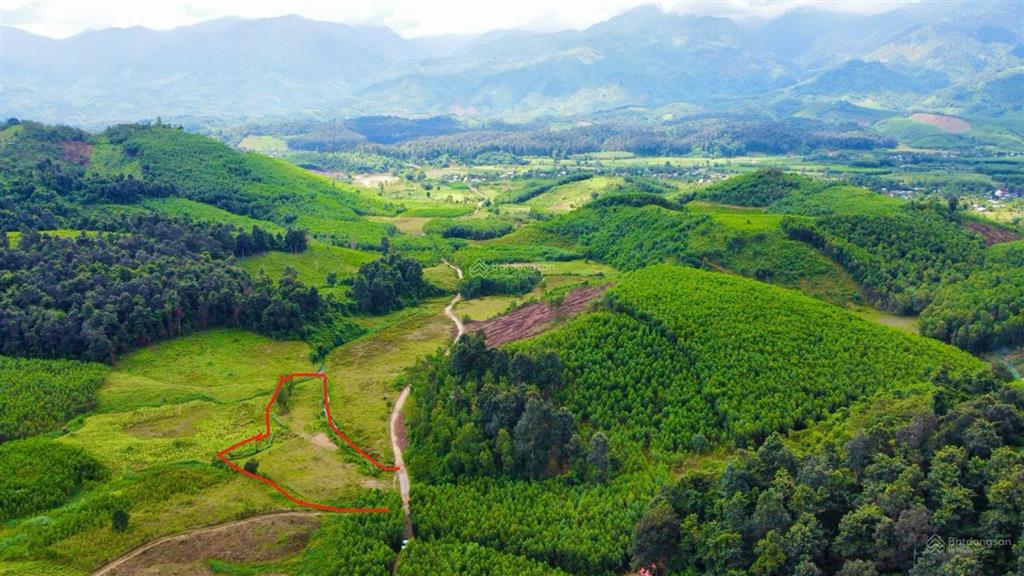 Đất suối thôn đa râm, xã khánh thượng, bằng phẳng, đường ô tô (suối ôm gần hết đất) giá 650 tr