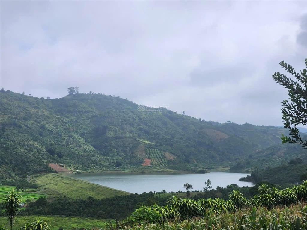 Chính chủ cần bán nền đất thổ cư xã hòa trung di linh cách ql20 có 5km đường ôtô tới đất có dân cư
