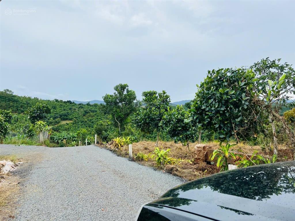 Chính chủ cần bán nền đất thổ cư xã hòa trung di linh cách ql20 có 5km đường ôtô tới đất có dân cư