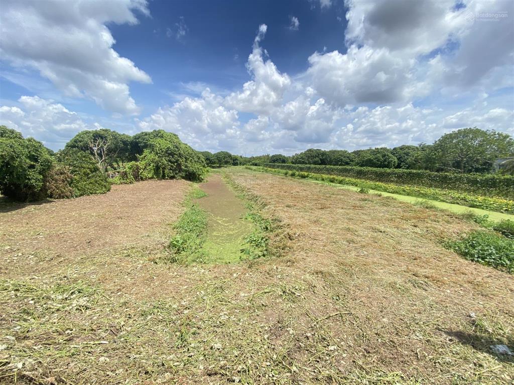 Bán đất đường xe ô tô cách chợ cái tàu hạ 800m (giá tốt)