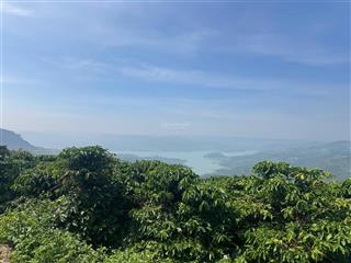 ( ngộp) đất view sông đồng nai sẵn sổ , sẵn thổ cư giá tốt