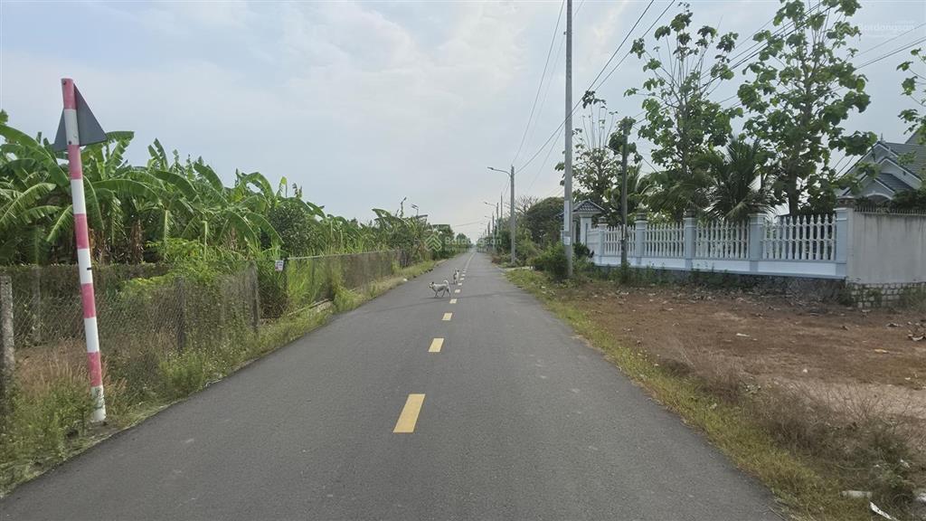 Bán đất mặt tiền nguyễn văn hưng đất đỏ 303,5m2 giá 1,35 tỷ, 60m thổ cư, gần vũng tàu