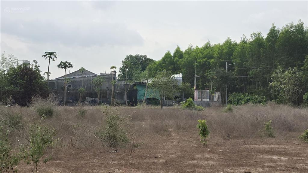 Bán đất mặt tiền nguyễn văn hưng đất đỏ 303,5m2 giá 1,35 tỷ, 60m thổ cư, gần vũng tàu