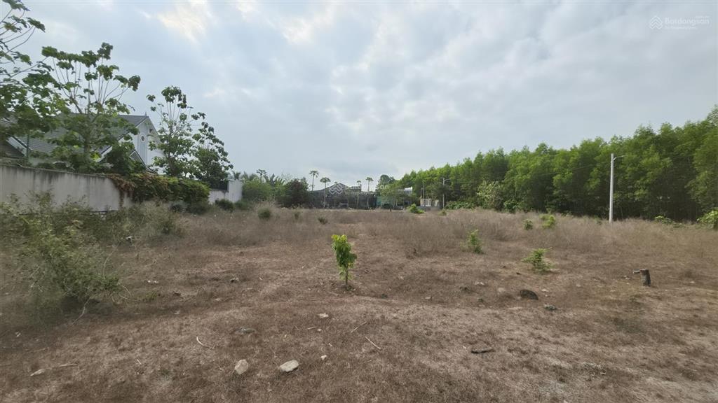 Bán đất mặt tiền nguyễn văn hưng đất đỏ 303,5m2 giá 1,35 tỷ, 60m thổ cư, gần vũng tàu