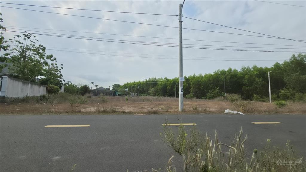 Đất đầu tư đất đỏ gần biển phước hải 12km, gần kcn 2km, mặt tiền nguyễn văn hưng 303m2 giá 1,35 tỷ