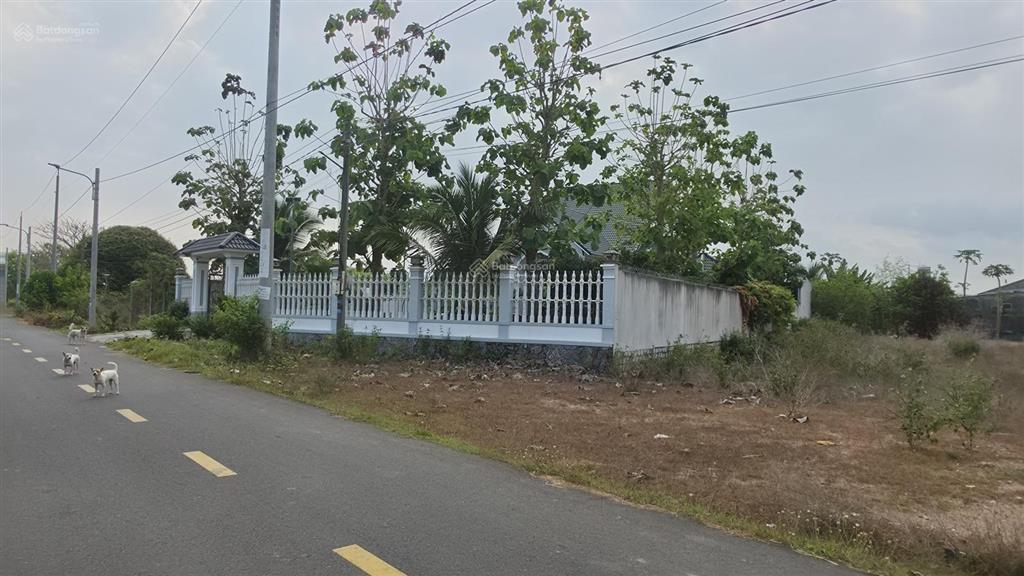 Bán đất đất đỏ gần biển phước hải long hải 10km, mặt tiền nguyễn văn hưng 303m2 giá 1,35 tỷ