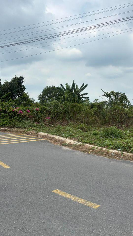 chính chủ bán lỗ đất thị trấn củ chi 2 mặt tiền đường nhựa tỉnh lộ 8 giao nhữ tiến hiến