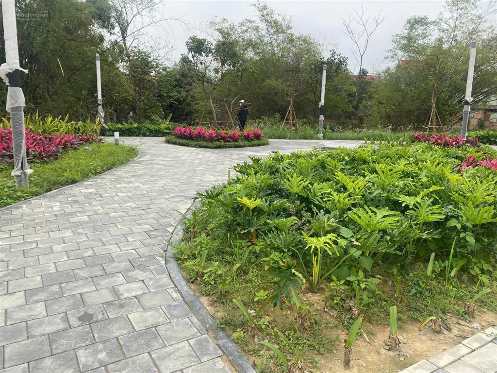 Hiếm có 1 lô ngoại giao áp góc bích sơn central point, view công viên, giá chỉ nhỉnh 3 tỷ