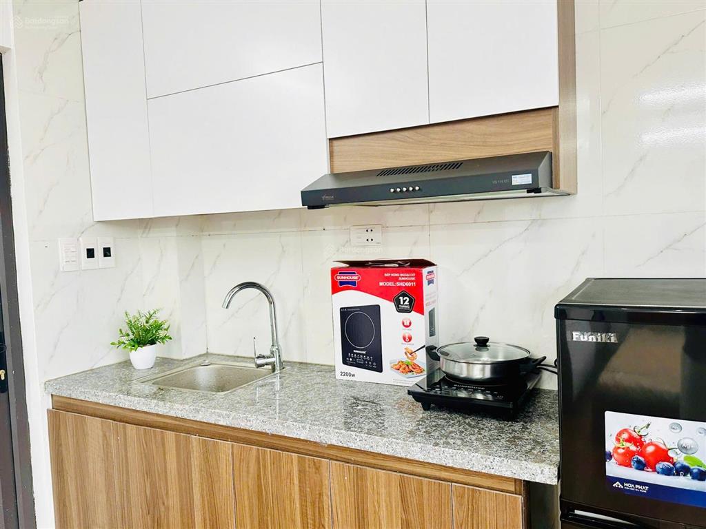 Chính chủ thuê ccmn full mới 100%, tòa cạnh hồ, có chỗ để ô tô miễn phí, nhà y hệt hình ảnh