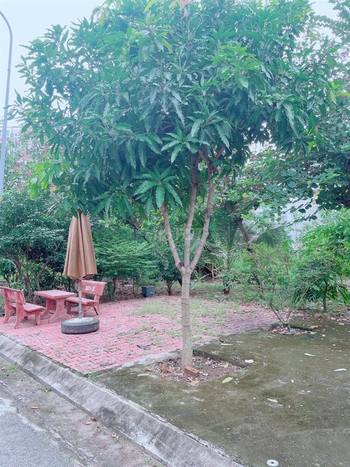 Cấn bán gấp lô đất đối diện công viên KDC 13E Intresco Binh Hưng TPHCM