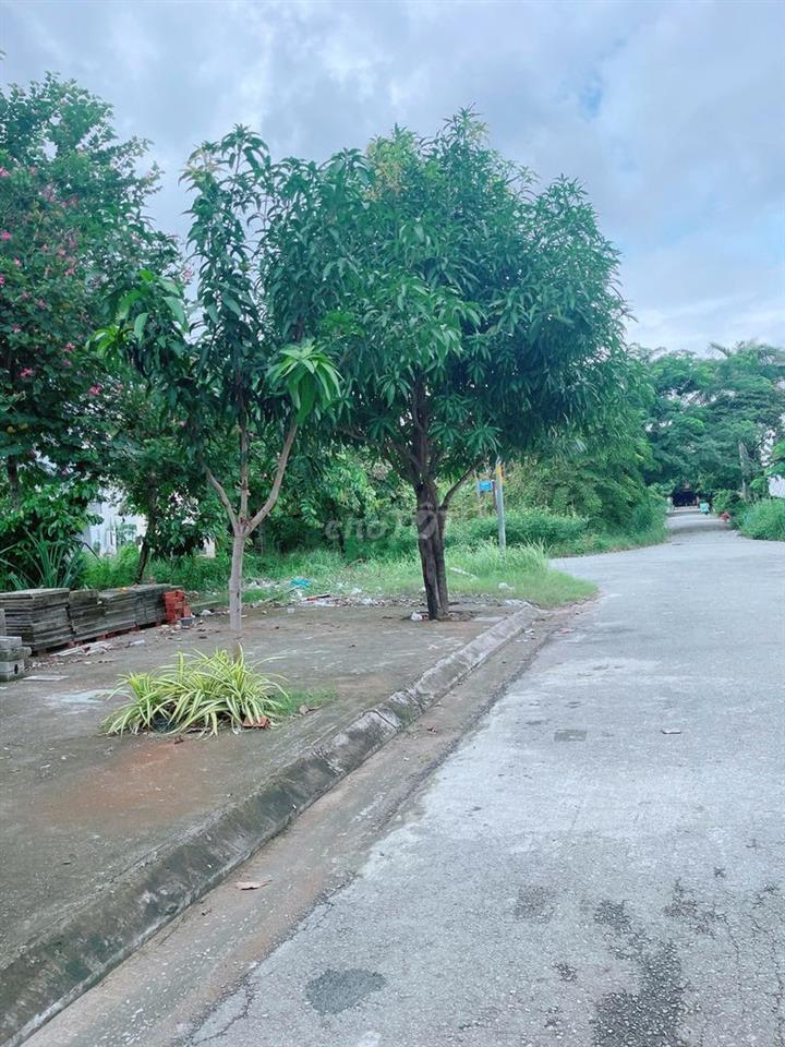 Cấn bán gấp lô đất đối diện công viên KDC 13E Intresco Binh Hưng TPHCM