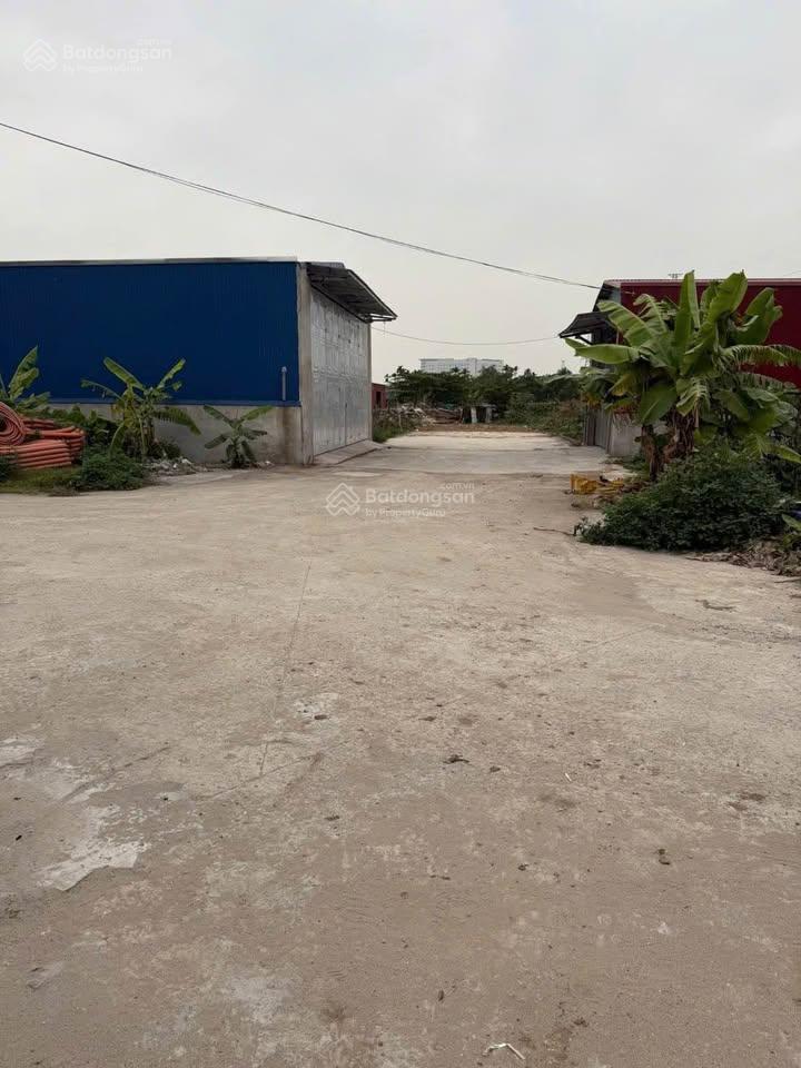 Bán lô góc biệt thự 130m2 tại trang quan an dương hải phòng