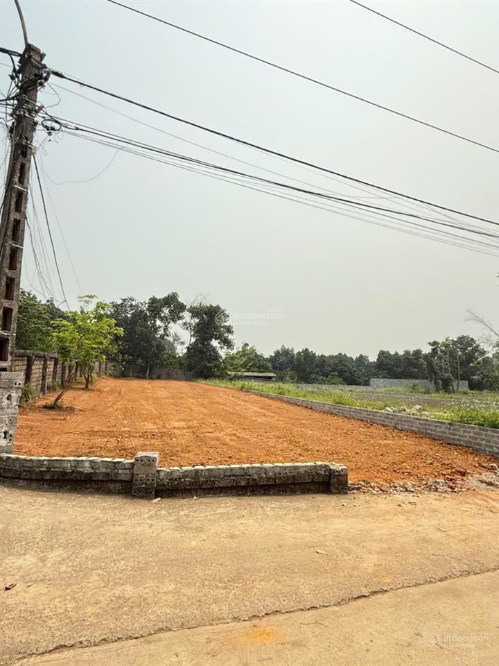 Chính chủ cần bán lô đất 2 mặt tiền tổng diện tích450m thổ cư 150m tại yên bài hà nội