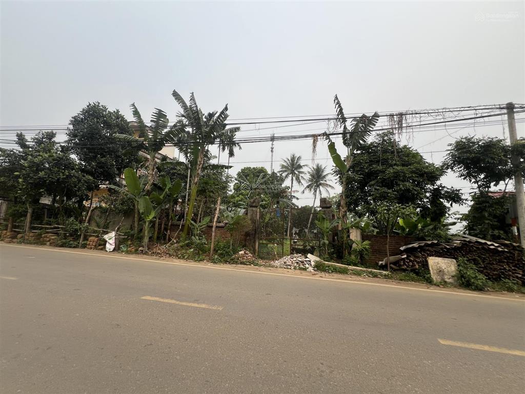 Cần bán 723m² thổ cư, 100m² mặt tiền 15m tại yên bài, ba vì, tp hà nội