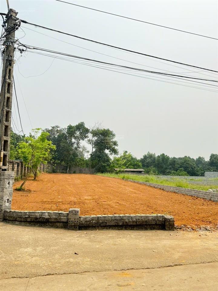 Chính chủ cần chuyển nhượng lô đất 2 mặt tiền diện tích356m thổ cư 150m tại yên bài ba vì hà nội
