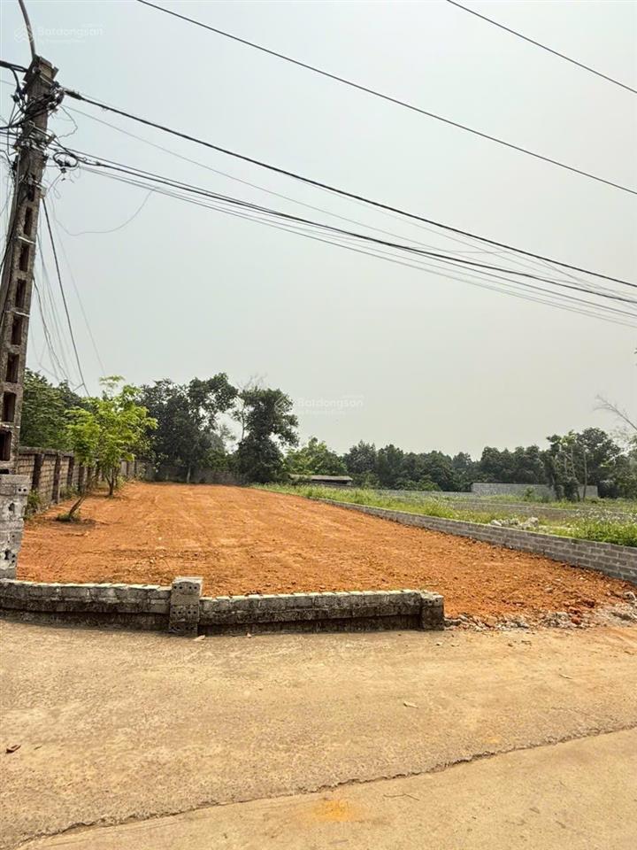Chính chủ cần chuyển nhượng lô đất 2 mặt tiền diện tích356m thổ cư 150m tại yên bài ba vì hà nội