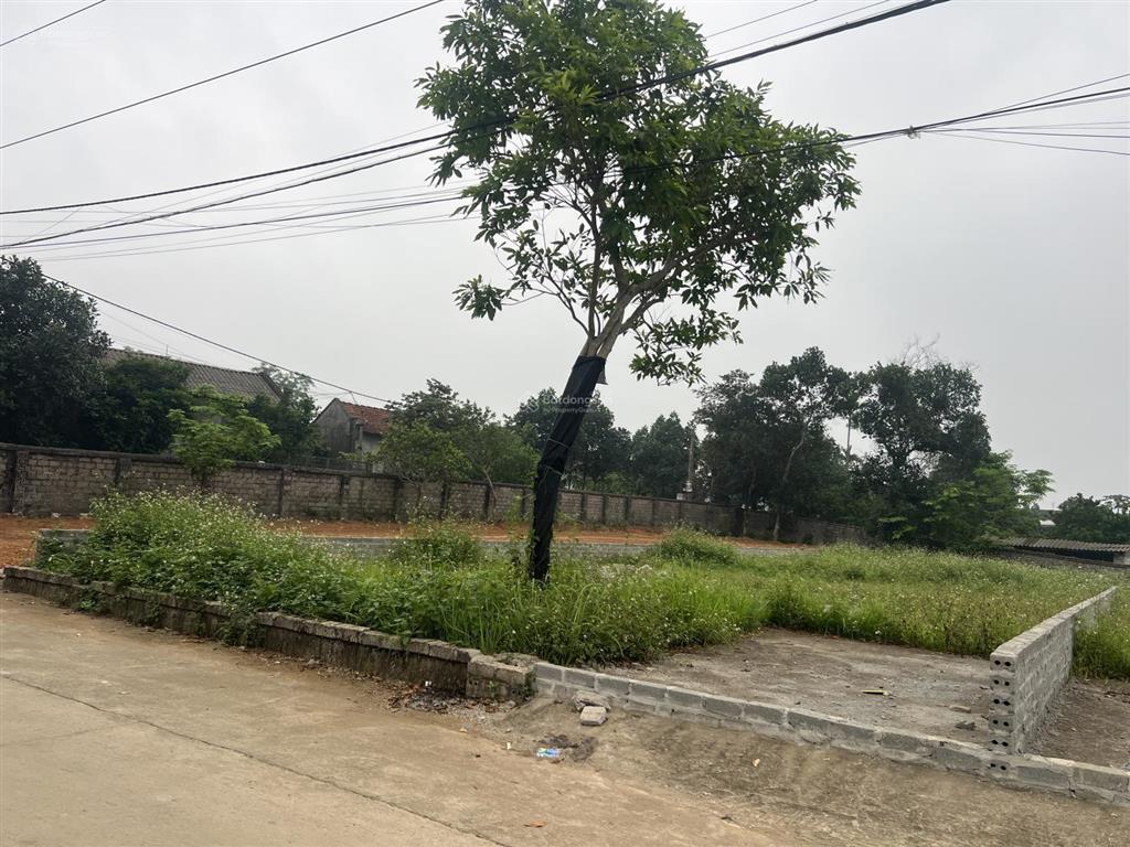 Chính chủ cần bán nhanh lô đất 392m2 thổ cư 150m2 mặt tiền 11m tại yên bài ba vì tp hà nội