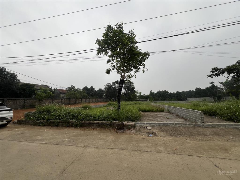 Chính chủ cần bán nhanh lô đất 392m2 thổ cư 150m2 mặt tiền 11m tại yên bài ba vì tp hà nội