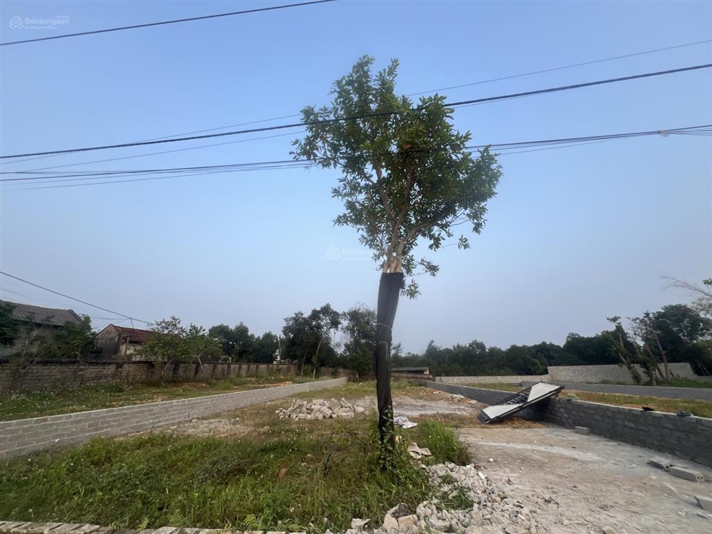 Chính chủ cần bán nhanh lô đất 392m2 thổ cư 150m2 mặt tiền 11m tại yên bài ba vì tp hà nội