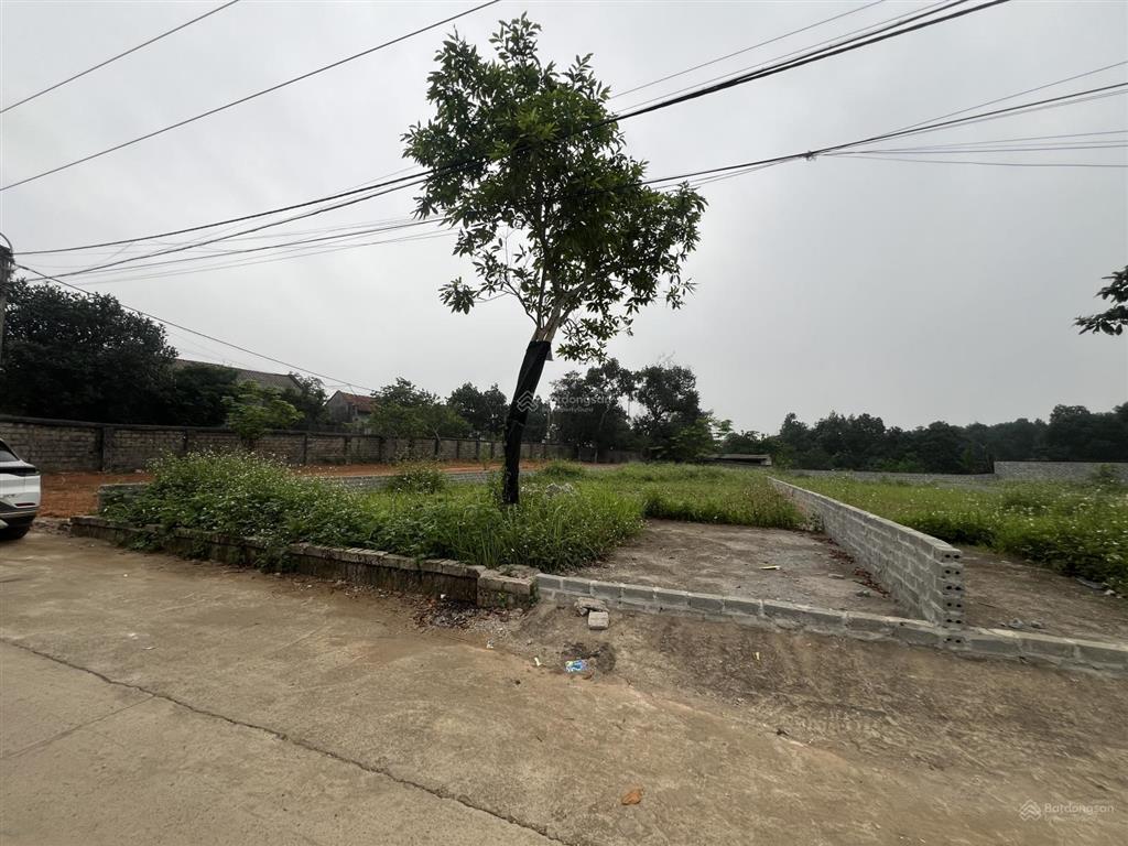 Chính chủ cần bán nhanh lô đất 392m2 thổ cư 150m2 mặt tiền 11m tại yên bài ba vì tp hà nội