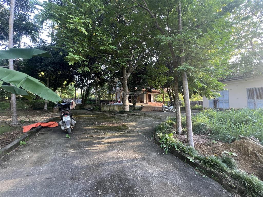 Chính chủ cần bán lô đất 2 mặt tiền diện tích 1940m2 thổ cư 200m2, mt 100m tại yên bài hà nội